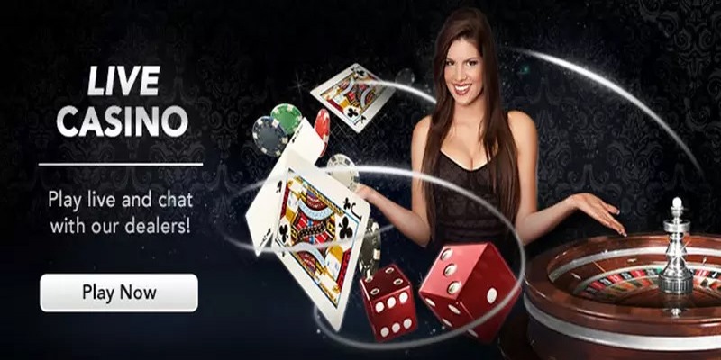 Hiểu rõ về sảnh cược uy tín live casino S666