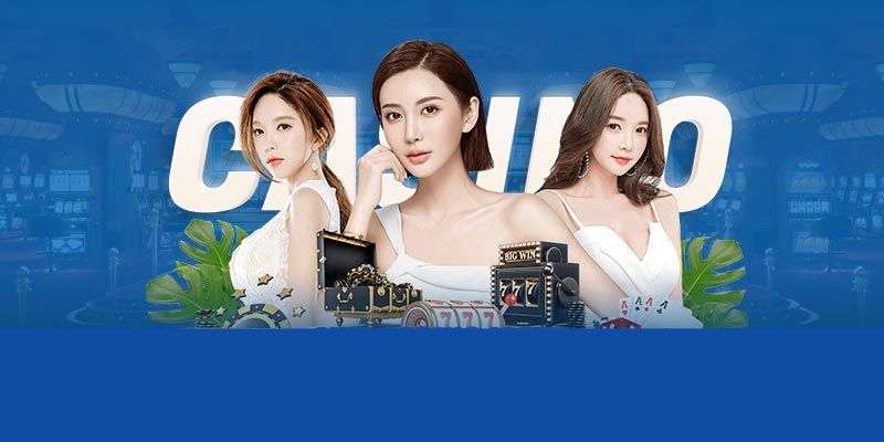 Chân thực cùng live casino